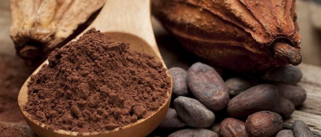 Полезные свойства какао бобов для здоровья