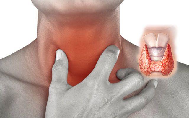 Щитовидная железа: ее строение, функции и заболевания