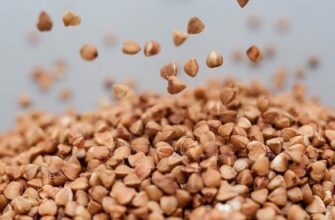 Гречка поможет организму не стареть Обыкновенная гречка содержит белок SIRT1 – у...