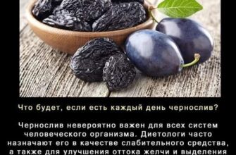 ​Чем полезна сушеная слива...⁉ 1. Одно из самых эффективных средств для профилактик...