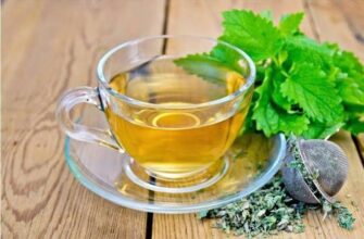 ​ОТВАР ТРАВ ДЛЯ УКРЕПЛЕНИЯ СОСУДОВ Отвар на основе сочетания целебных трав помож...