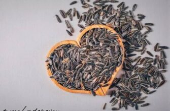 Настойка с семенами подсолнечника от гипертонии! Рекомендуется попробовать эт... Настойка с семенами подсолнечника от гипертонии! Рекомендуется попробовать эт...