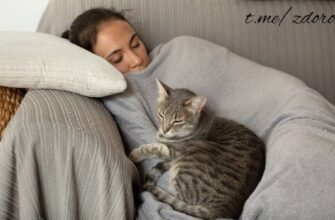 Дневной сон полезен?! Очень! Даже пару раз в неделю будет полезно. Поэтому работ...