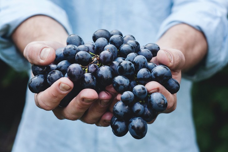 Польза и вред винограда: способен омолаживать, но приводит к вздутию живота