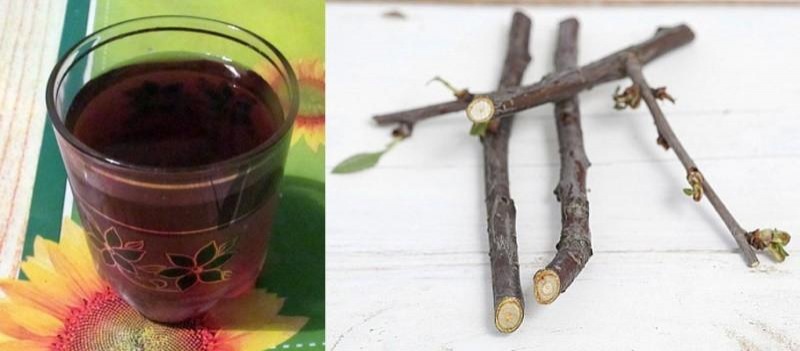 Польза веточек вишни – народные лечебные рецепты