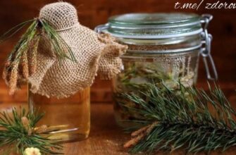 Хвойный настой для сосудов! Целебный настой на основе хвои и плодов шиповника п...