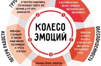 Как эмоции разрушают здоровье Скажи мне, что ты чувствуешь и я скажу, здоров ли ...