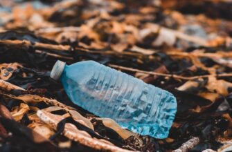 На органах появляются рубцы: ученые описали симптомы новой болезни — пластикоза