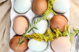 Как проверить свежесть яиц, надо ли выбирать чистые и еще 3 важных вопроса в канун Пасхи