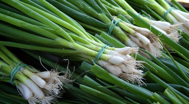Польза и вред зеленого лука: какие блюда приготовить для укрепления иммунитета и нервной системы