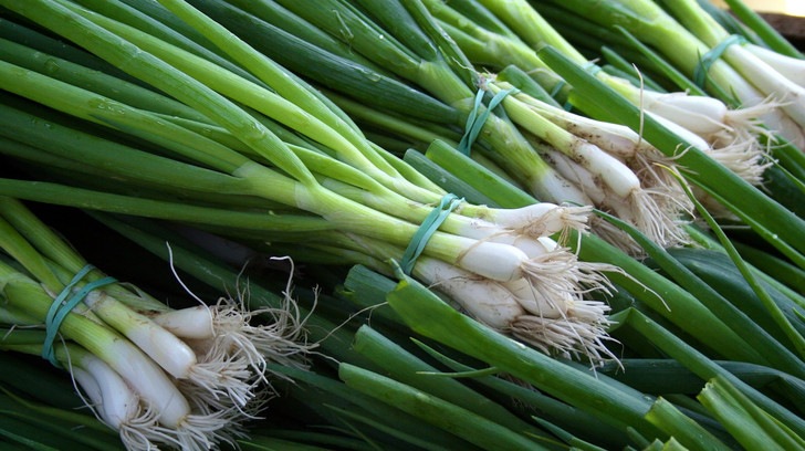 Польза и вред зеленого лука: какие блюда приготовить для укрепления иммунитета и нервной системы