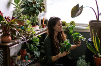 Цветы против плесени: 4 растения для квартир с высокой влажностью