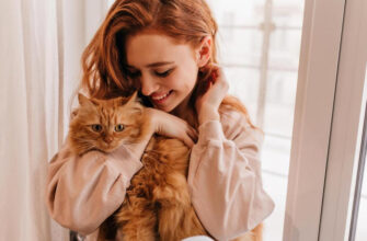 Зоопсихолог Протасевич перечислила места, по которым гладить кошку запрещено