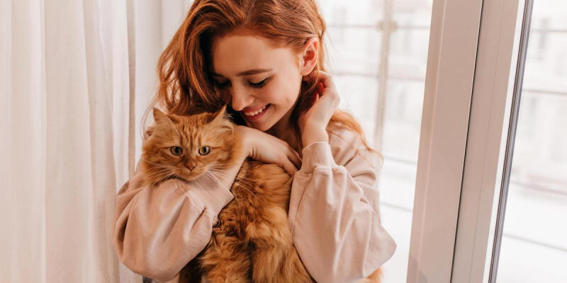 Зоопсихолог Протасевич перечислила места, по которым гладить кошку запрещено