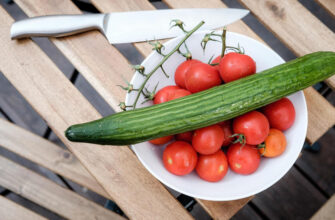 Чем отличаются тепличные помидоры и огурцы от грунтовых, объяснила гастроэнтеролог