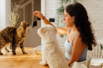 Няня для питомца: 6 советов, как ужиться с чужим домашним животным