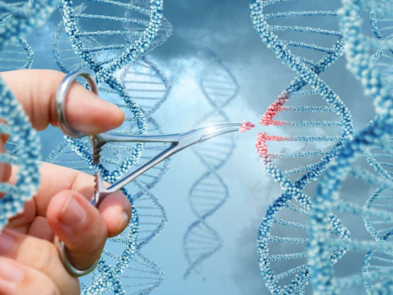 Что такое CRISPR и почему эта биотехнология приближает будущее