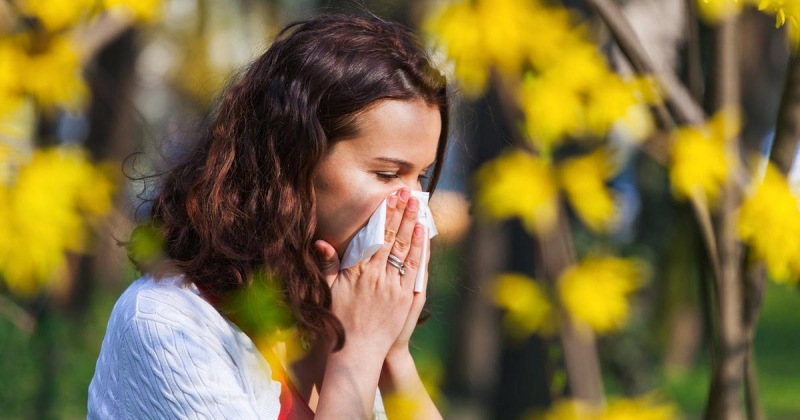 Как пережить сезон аллергии без проблем и без больничных: советы доктора Даврятовой