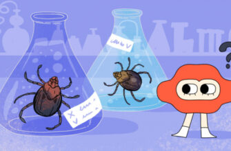 Надо ли нести клеща на анализ, если вы достали его дома