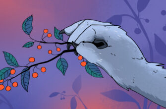 Что будет, если съесть волчью ягоду Что будет, если съесть волчью ягоду