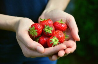 Гастроэнтеролог Лернер рассказала, как есть клубнику, чтобы не раздуло живот
