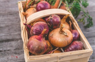 Польза и вред репчатого лука: для этих людей он под запретом