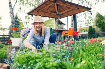 Растение, которое доказанно снижает образование бляшек, оно есть на каждом огороде