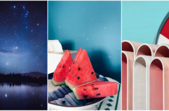 Лучшие фото на смартфон: объявлены победители iPhone Photography Awards 2024