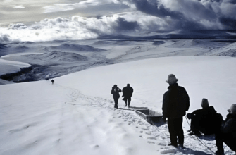 В таящем леднике на западе Китая обнаружили около 1 700 древних вирусов