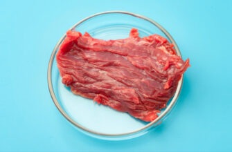 Мясо из пробирки. Будет ли стейк из стволовых клеток таким же вкусным, как натуральный