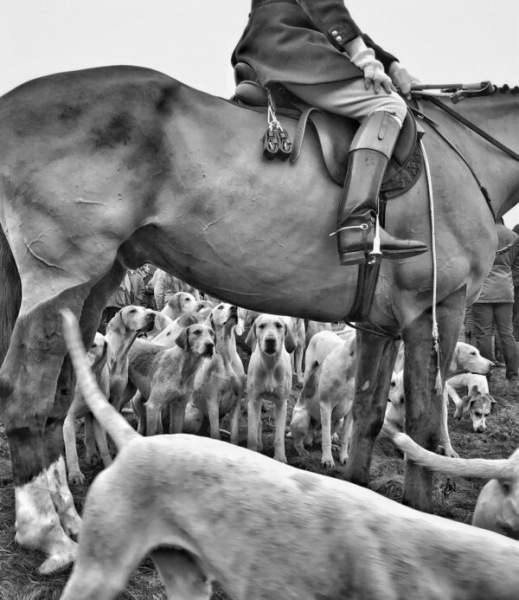 лучшая фотография на смартфон: объявлены победители iPhone Photography Awards 2024