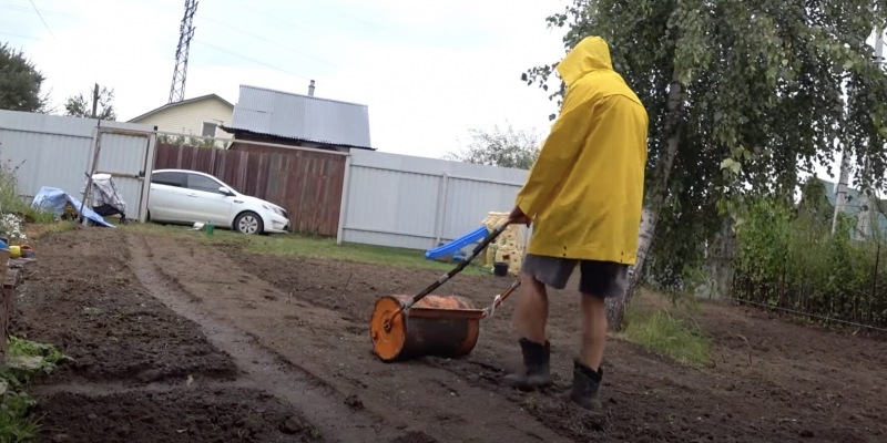 Как сеять газонную траву и правильно за ней ухаживать