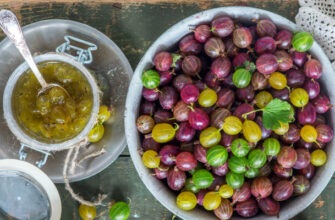 Что приготовить из крыжовника: 12 простых и невероятно вкусных блюд