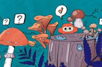10 стыдных вопросов о грибах: отвечает биолог Михаил Вишневский