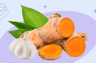 8 самых эффективных природных антибиотиков