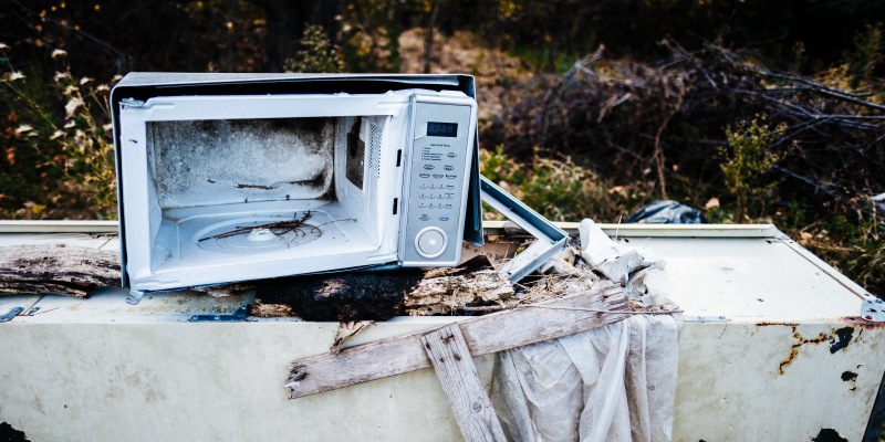 Повредить ДНК и убить растения: 12 самых популярных мифов о микроволновых печах