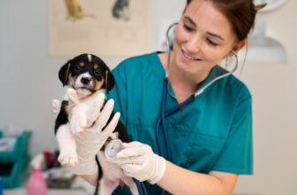 Лишай у собаки: почему появляется, какие симптомы и как лечить