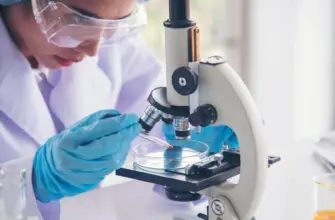 Ученые JAIST проверили на мышах новый способ лечения рака с помощью лягушек