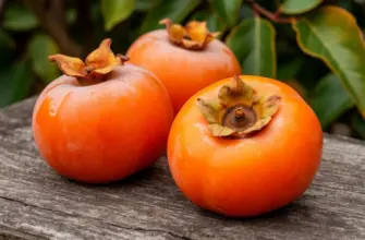 Что может случиться, если объесться незрелой хурмы. Спойлер: ничего хорошего